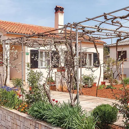 Daire 1 Bedroom Awesome In